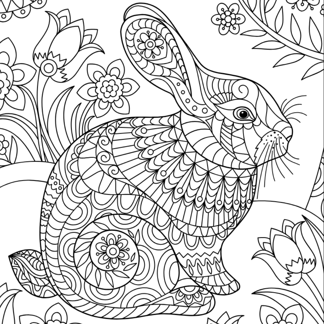 rabbit-colouring-page-castle-arts