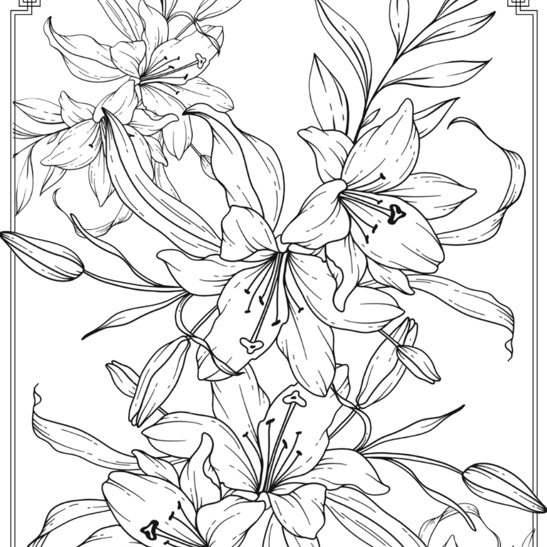 lilies-colouring-page-castle-arts