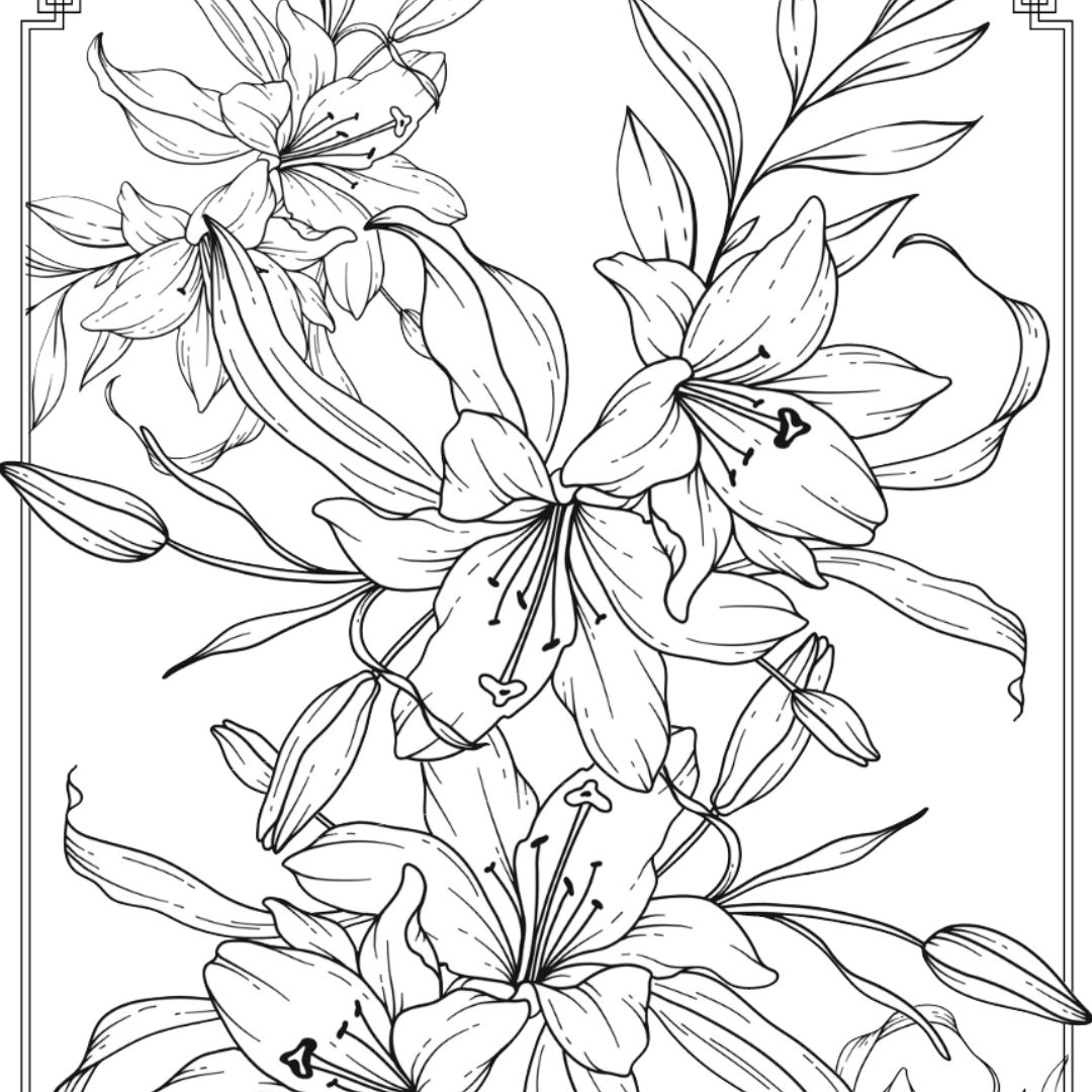 Lilies Colouring Page Castle Arts lilies-colouring-page-castle-arts