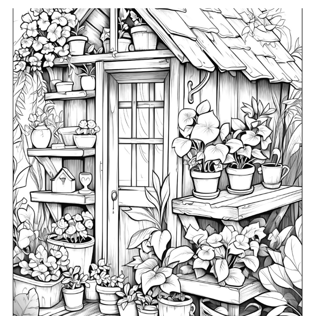 Garden Shed