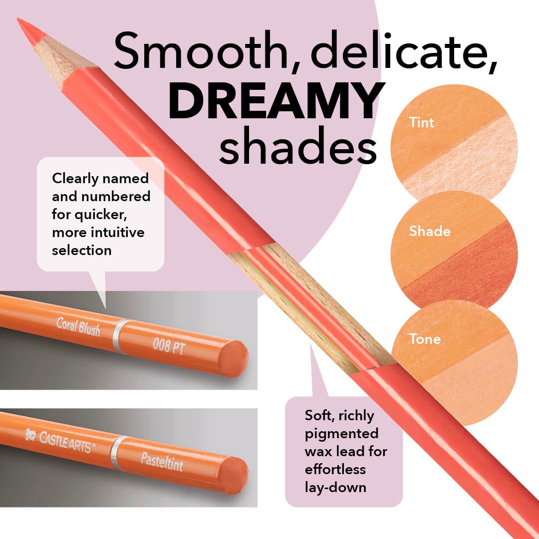 246 Pezzi Colorista Premium Pacchetto Custodia Con Cerniera