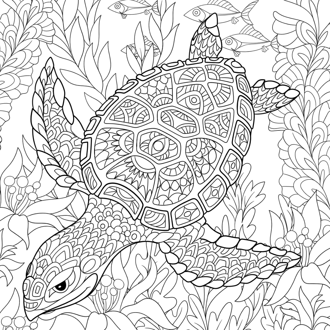 Sea Turtle Colouring Page Castle Arts