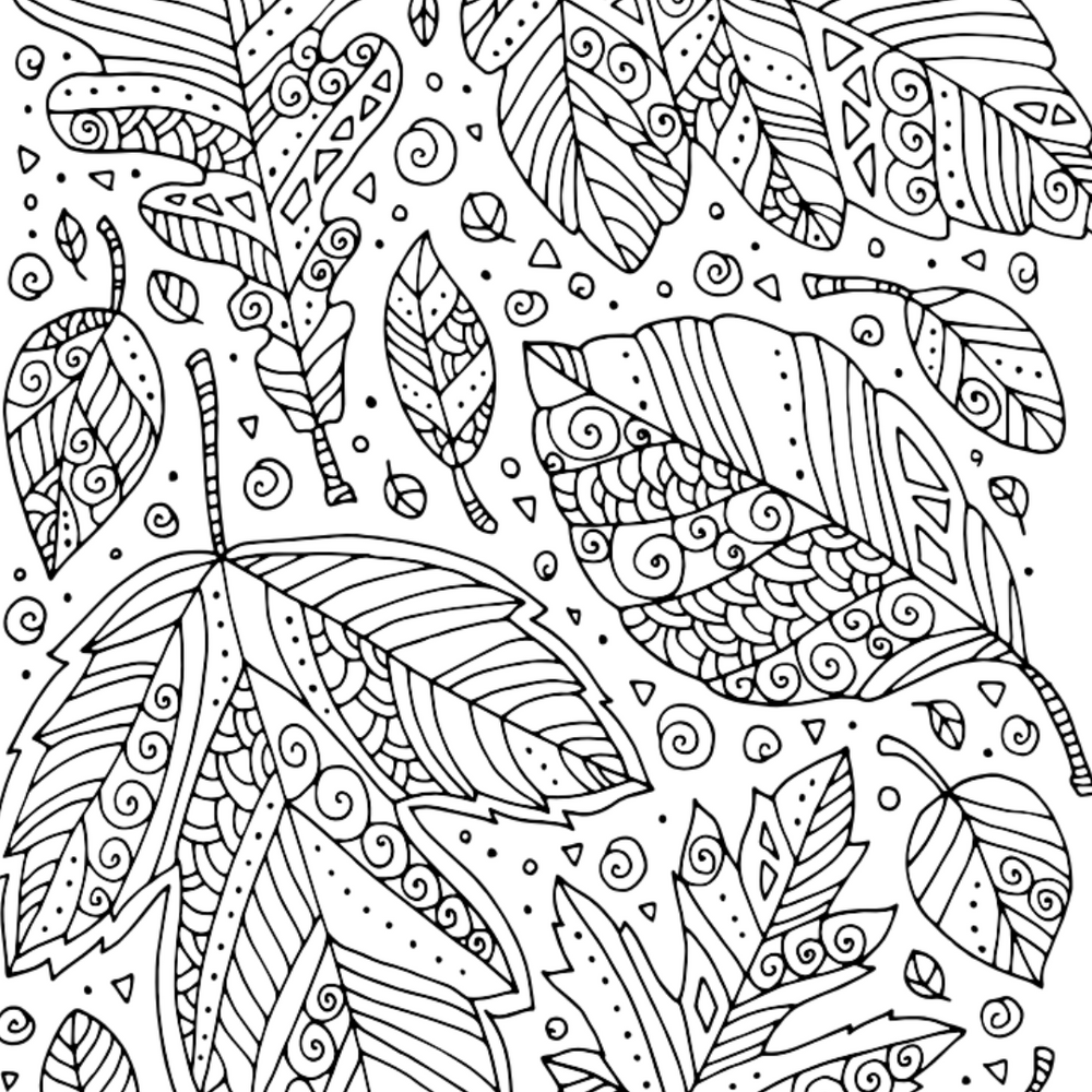 Fallen Leaves Colouring Page – Castle Arts