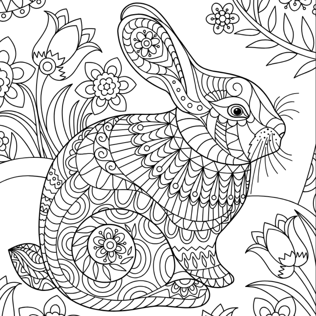Rabbit Colouring Page – Castle Arts