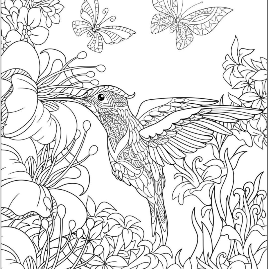 Hummingbird Colouring Page Castle Arts Hummingbird colouring page castle arts