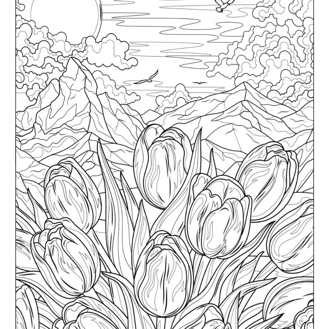 Tulip Field