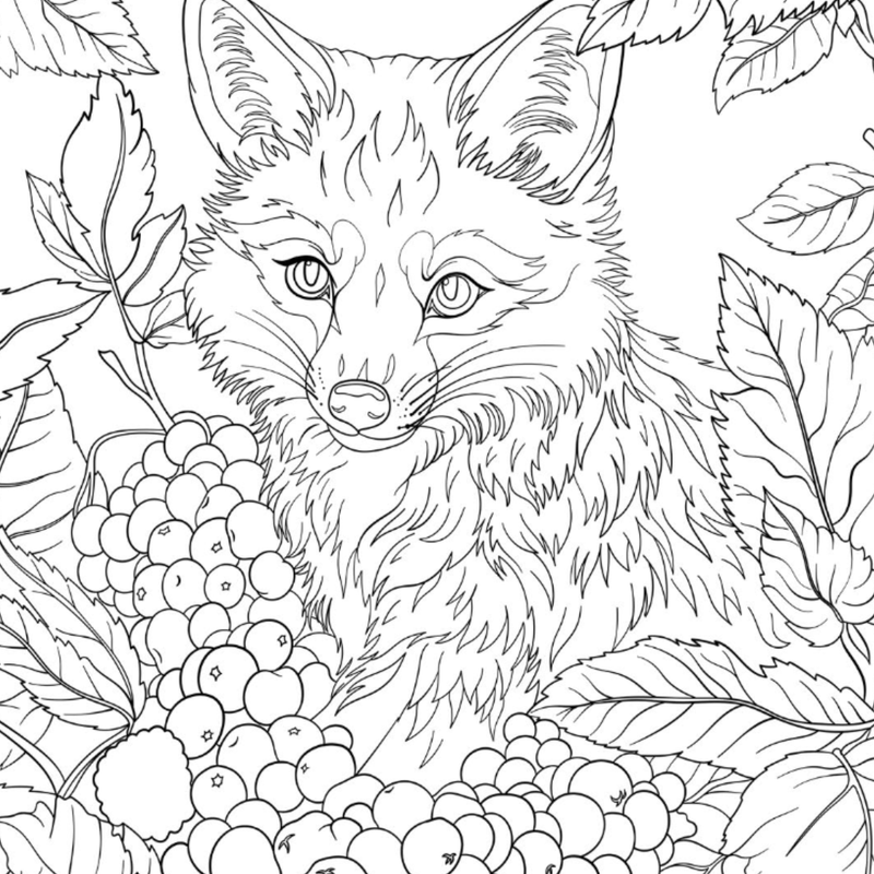 Autumn Fox Colouring Page – Castle Arts