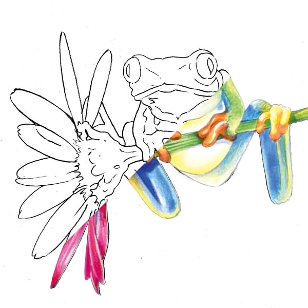 Frog 120 Piece Castle Gold Coloured Pencil Set Castle Arts