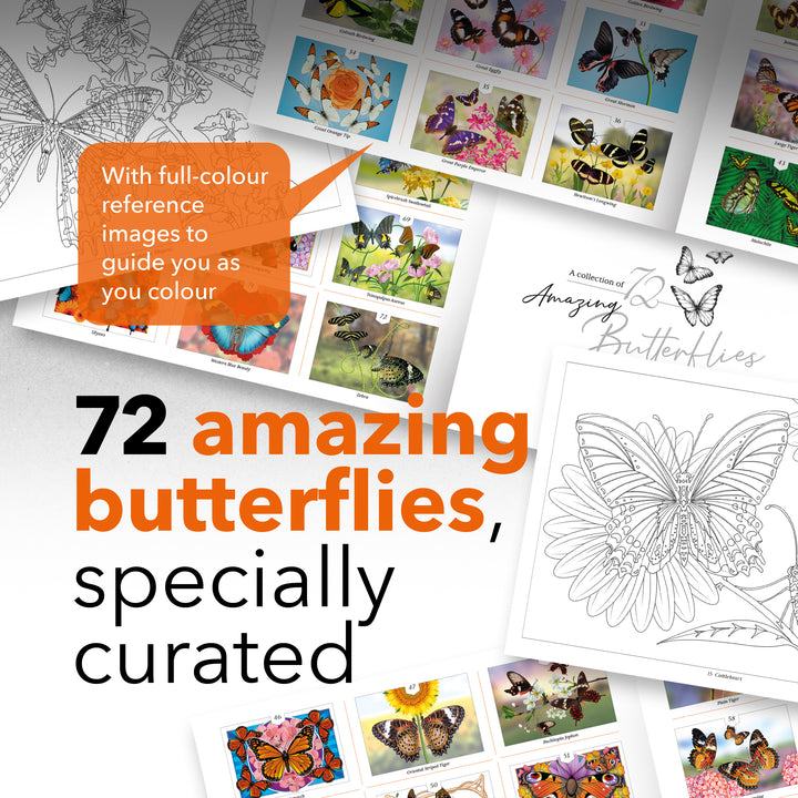 72 Page Amazing Butterflies Colouring Book
