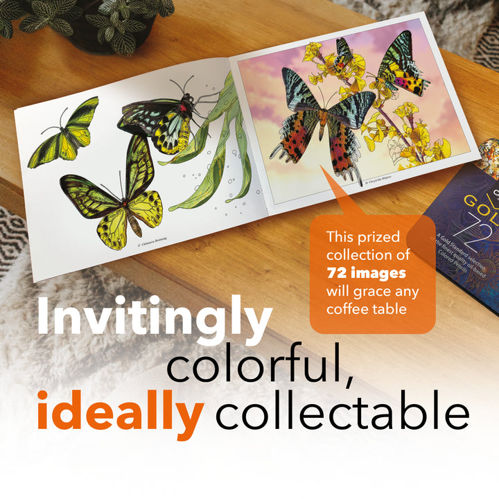 72 Page Amazing Butterflies Colouring Book